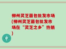 柳州灵芝菌包批发市场(柳州灵芝菌包批发市场在“灵芝之乡”热销)