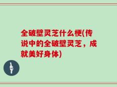 全破壁灵芝什么梗(传说中的全破壁灵芝，成就美好身体)