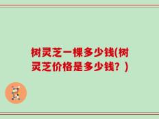 树灵芝一棵多少钱(树灵芝价格是多少钱？)