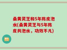 桑黄灵芝和5年陈皮泡水(桑黄灵芝与5年陈皮共泡水，功效不凡)