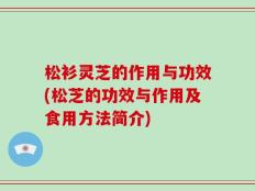 松衫灵芝的作用与功效(松芝的功效与作用及食用方法简介)
