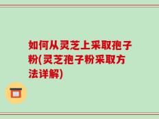 如何从灵芝上采取孢子粉(灵芝孢子粉采取方法详解)