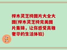 榉木灵芝椅图片大全大图(榉木灵芝椅完美图片集锦，让你感受高雅奢华的生活体验)