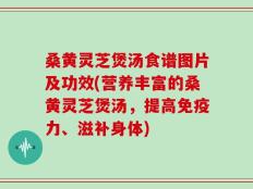 桑黄灵芝煲汤食谱图片及功效(营养丰富的桑黄灵芝煲汤，提高免疫力、滋补身体)