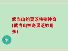 武当山的灵芝特别神奇(武当山神奇灵芝妙用多)