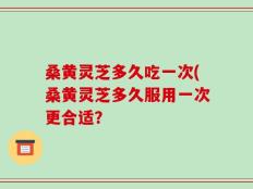 桑黄灵芝多久吃一次(桑黄灵芝多久服用一次更合适？