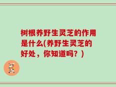 树根养野生灵芝的作用是什么(养野生灵芝的好处，你知道吗？)