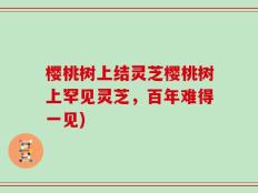 樱桃树上结灵芝樱桃树上罕见灵芝，百年难得一见)