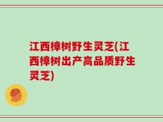 江西樟树野生灵芝(江西樟树出产高品质野生灵芝)