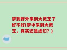 梦到野外采到大灵芝了好不好(梦中采到大灵芝，真实还是虚幻？)