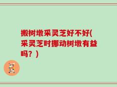 搬树墩采灵芝好不好(采灵芝时挪动树墩有益吗？)