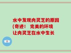 水中发现肉灵芝的原因(奇迹！ 完美的环境让肉灵芝在水中生长