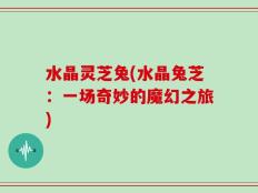 水晶灵芝兔(水晶兔芝：一场奇妙的魔幻之旅)