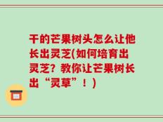 干的芒果树头怎么让他长出灵芝(如何培育出灵芝？教你让芒果树长出“灵草”！)