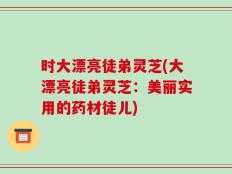 时大漂亮徒弟灵芝(大漂亮徒弟灵芝：美丽实用的药材徒儿)