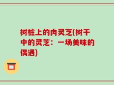 树桩上的肉灵芝(树干中的灵芝：一场美味的偶遇)