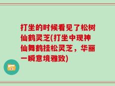 打坐的时候看见了松树仙鹤灵芝(打坐中现神仙舞鹤挂松灵芝，华丽一瞬意境雅致)