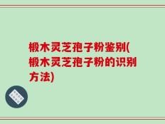 椴木灵芝孢子粉鉴别(椴木灵芝孢子粉的识别方法)