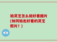 拍灵芝怎么拍好看图片(如何拍出好看的灵芝照片？)