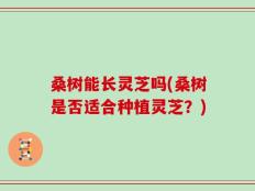 桑树能长灵芝吗(桑树是否适合种植灵芝？)