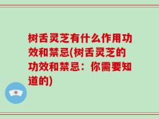 树舌灵芝有什么作用功效和禁忌(树舌灵芝的功效和禁忌：你需要知道的)