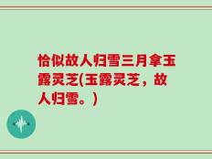 恰似故人归雪三月拿玉露灵芝(玉露灵芝，故人归雪。)
