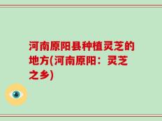 河南原阳县种植灵芝的地方(河南原阳：灵芝之乡)
