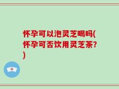 怀孕可以泡灵芝喝吗(怀孕可否饮用灵芝茶？)