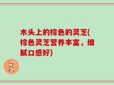 木头上的棕色的灵芝(棕色灵芝营养丰富，细腻口感好)