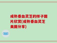 成熟香血灵芝的样子图片欣赏(成熟香血灵芝美图分享)
