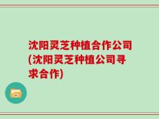 沈阳灵芝种植合作公司(沈阳灵芝种植公司寻求合作)