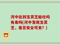 河中捡到玉灵芝能吃吗有毒吗(河中发现玉灵芝，是否安全可食？)