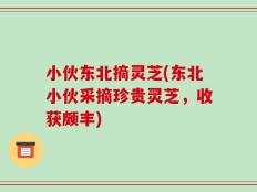 小伙东北摘灵芝(东北小伙采摘珍贵灵芝，收获颇丰)
