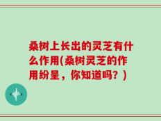 桑树上长出的灵芝有什么作用(桑树灵芝的作用纷呈，你知道吗？)