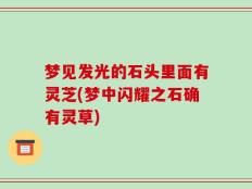 梦见发光的石头里面有灵芝(梦中闪耀之石确有灵草)