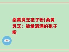 桑黄灵芝孢子粉(桑黄灵芝：能量满满的孢子粉
