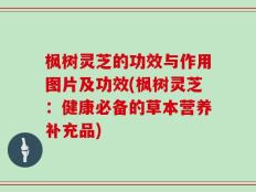 枫树灵芝的功效与作用图片及功效(枫树灵芝：健康必备的草本营养补充品)