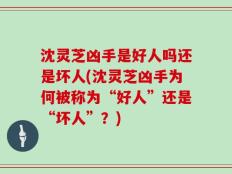 沈灵芝凶手是好人吗还是坏人(沈灵芝凶手为何被称为“好人”还是“坏人”？)