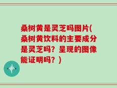 桑树黄是灵芝吗图片(桑树黄饮料的主要成分是灵芝吗？呈现的图像能证明吗？)