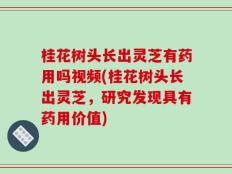 桂花树头长出灵芝有药用吗视频(桂花树头长出灵芝，研究发现具有药用价值)