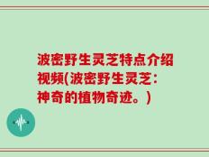 波密野生灵芝特点介绍视频(波密野生灵芝：神奇的植物奇迹。)