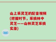 山上采灵芝的配音视频(把握时节，采摘林中灵芝——山林灵芝采摘实录)
