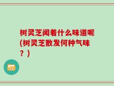 树灵芝闻着什么味道呢(树灵芝散发何种气味？)