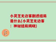 小灵芝无边客剧透结局是什么(小灵芝无边客：神秘结局揭晓)