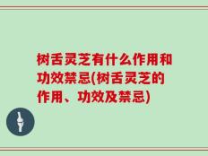 树舌灵芝有什么作用和功效禁忌(树舌灵芝的作用、功效及禁忌)