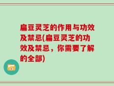 扁豆灵芝的作用与功效及禁忌(扁豆灵芝的功效及禁忌，你需要了解的全部)