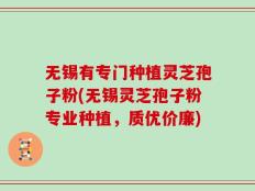 无锡有专门种植灵芝孢子粉(无锡灵芝孢子粉专业种植，质优价廉)