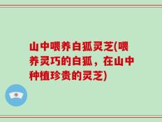 山中喂养白狐灵芝(喂养灵巧的白狐，在山中种植珍贵的灵芝)