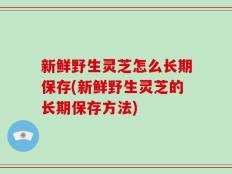 新鲜野生灵芝怎么长期保存(新鲜野生灵芝的长期保存方法)