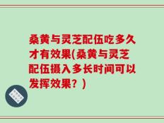 桑黄与灵芝配伍吃多久才有效果(桑黄与灵芝配伍摄入多长时间可以发挥效果？)